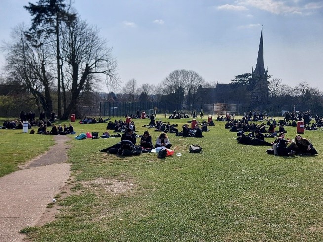 Lunch on the field