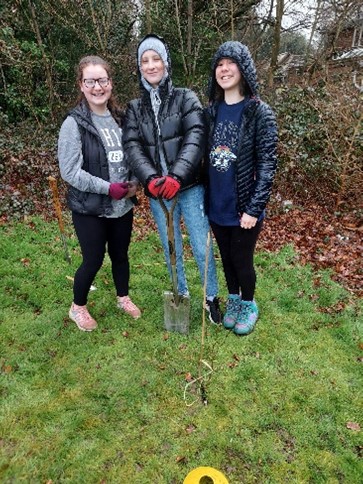 Planting Trees