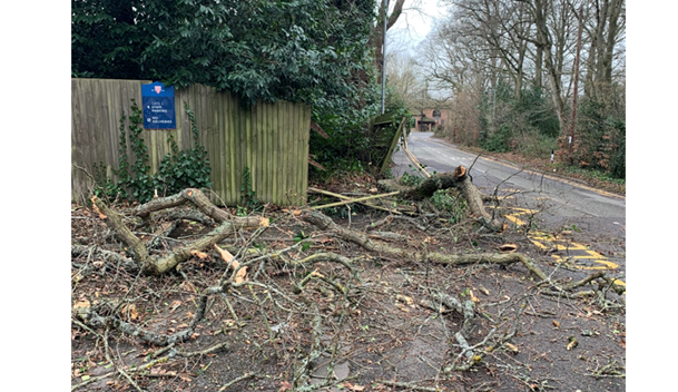 Storm damaged fence