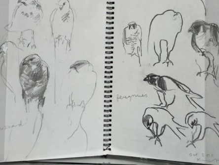 Picture7